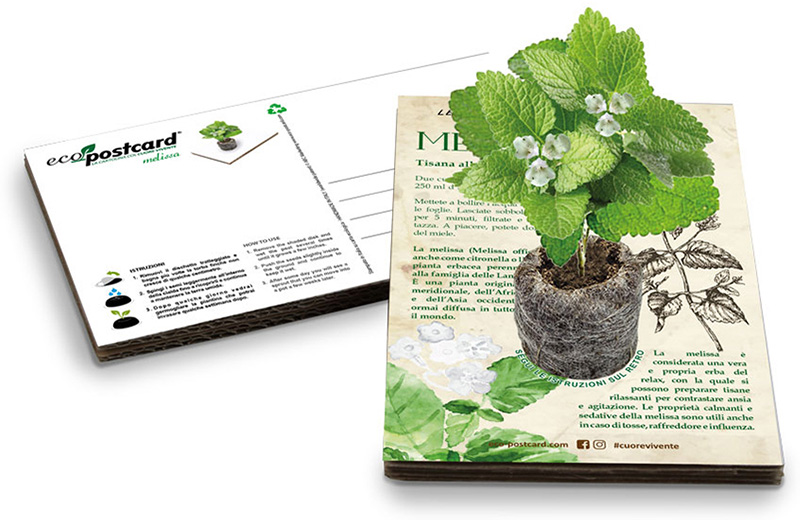 Gadget ecologici a confronto: matita Sprout® e cartolina Eco-Postcard® -  Eco-Postcard la cartolina ecologica con semi